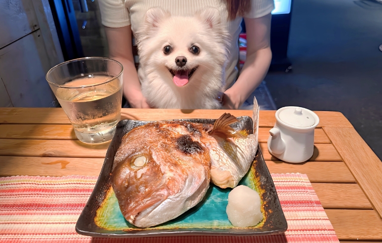 鯛のかぶと焼きとゆめちゃん