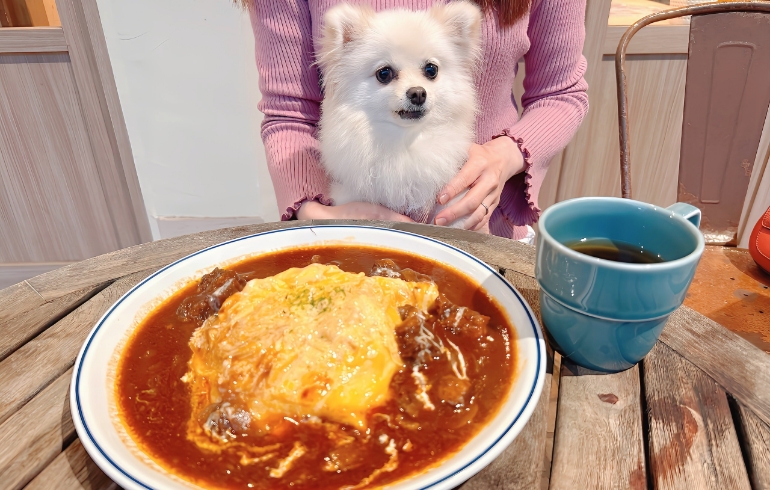 ビーフシチューオムライスとゆめちゃん