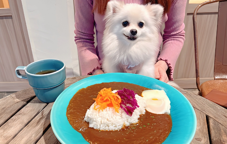 ダブルカレーとゆめちゃん