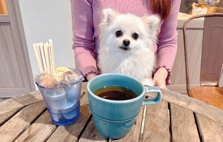 ドリンクとゆめちゃん