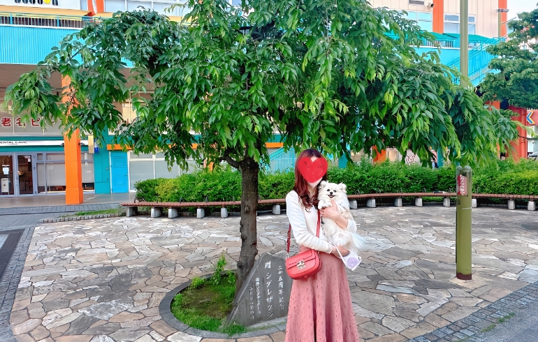 海老名中央公園2