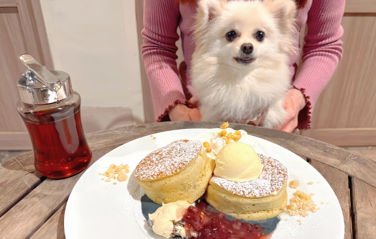 スフレパンケーキ（チーズ）とゆめちゃん