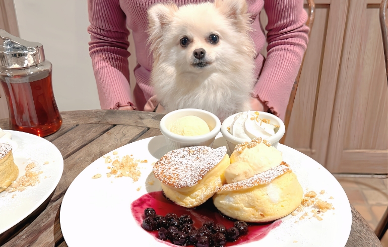 スフレパンケーキ（ベリー）とゆめちゃん