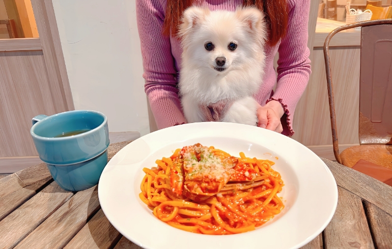 湘南生パスタとゆめちゃん