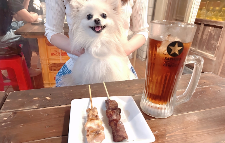 ワンちゃん用の焼き鳥