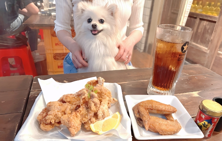 手羽の山椒揚げと和風鶏のからあげ