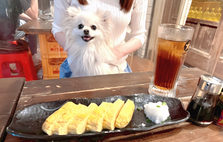 だし巻き玉子とゆめちゃん