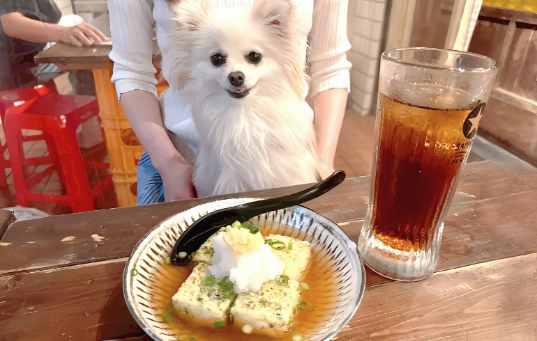 揚げだし豆腐とゆめちゃん