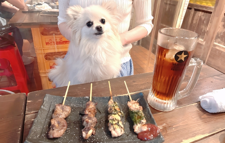 焼鳥とゆめちゃん