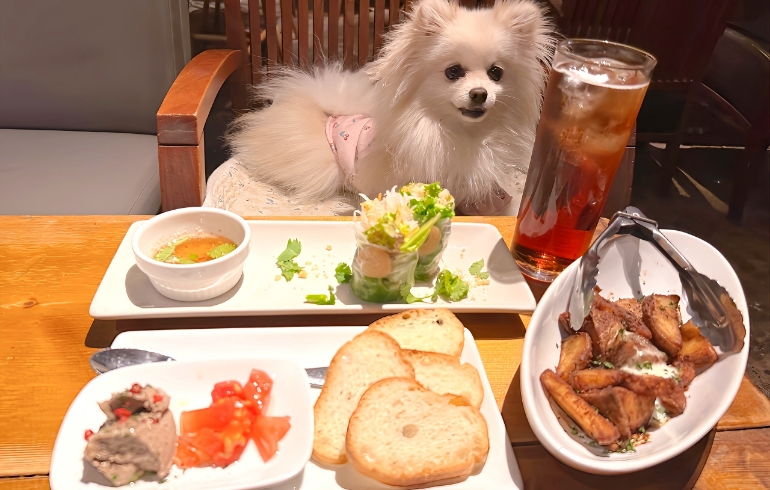 クリエイティブな多国籍料理各種とゆめちゃん