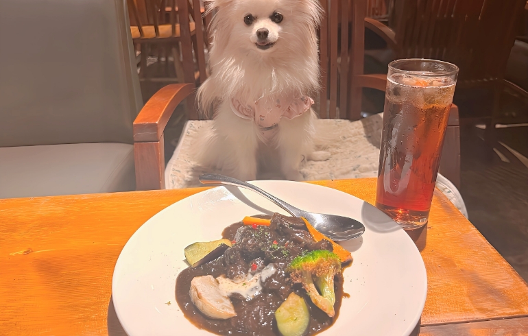 牛ホホ肉の黒ビール煮 ブラウンブレッド添え