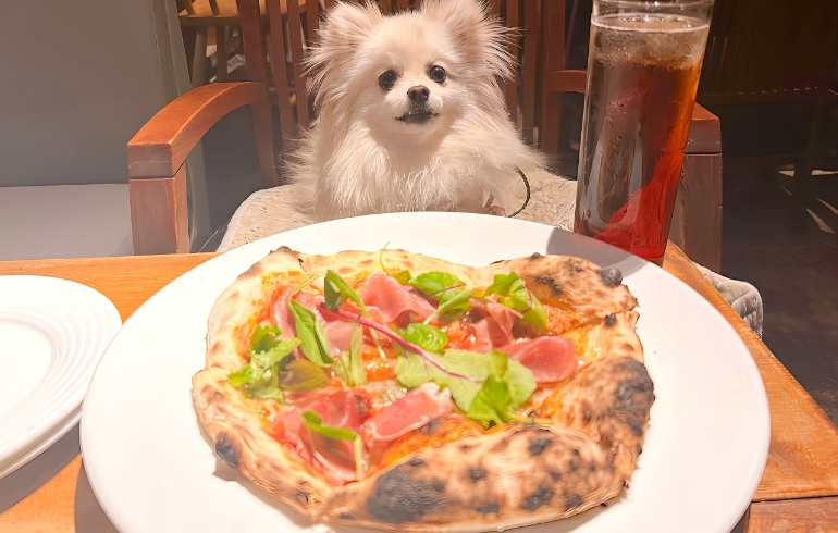 生ハムピザとゆめちゃん