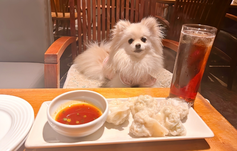自家製餃子