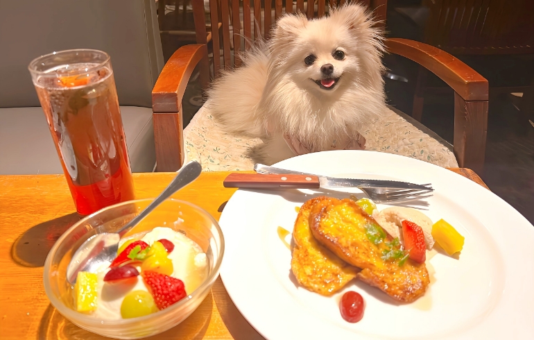 フレンチトーストと杏仁豆腐とゆめちゃん