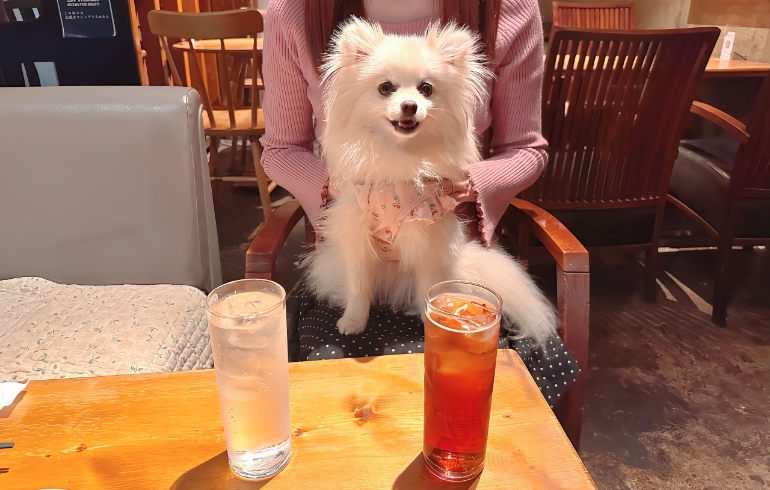ドリンク２種とゆめちゃん