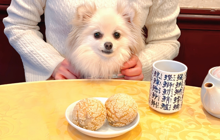 ごま団子2