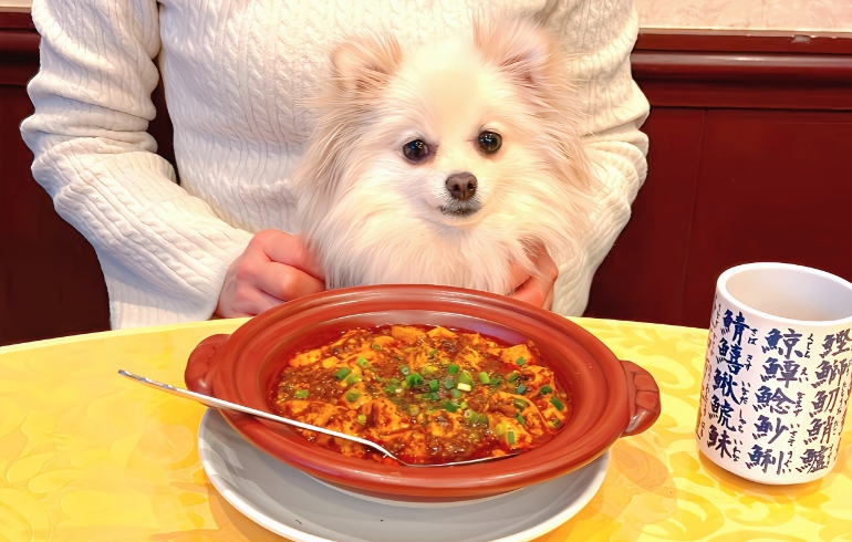 陳マーボー豆腐