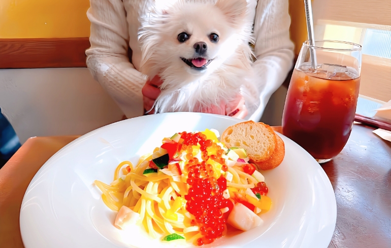 ホタテのラビゴットクリームとゆめちゃん
