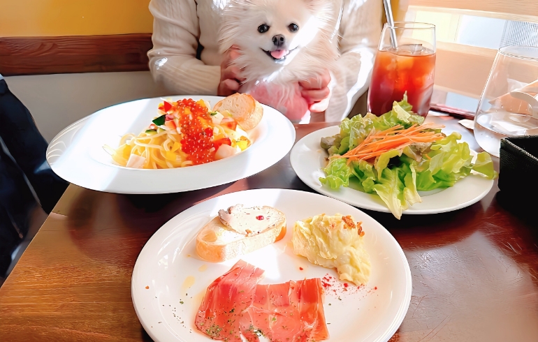 ランチセット