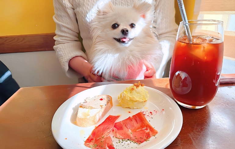 前菜の盛り合わせ