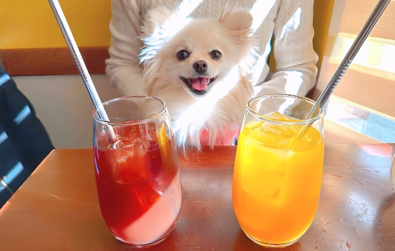 ドリンク