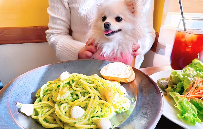 ジェノベーゼソースのパスタ