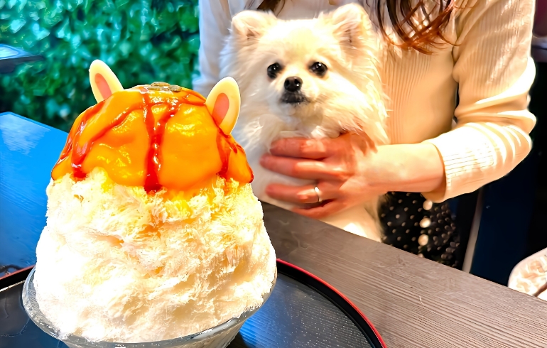 画像 1