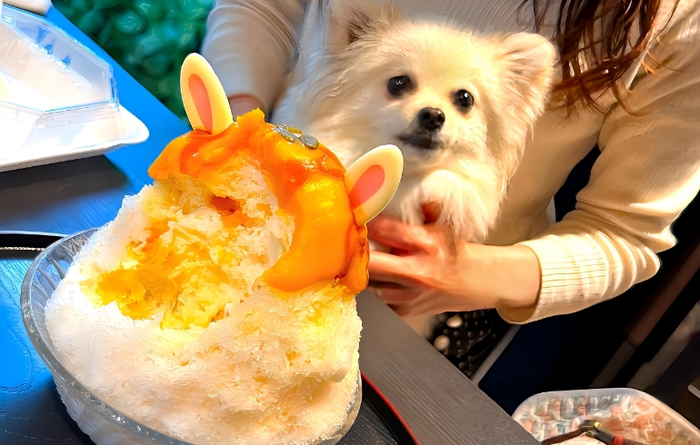 かき氷