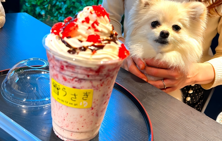 新感覚フローズンドリンク
