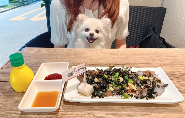 サンナッチとゆめちゃん
