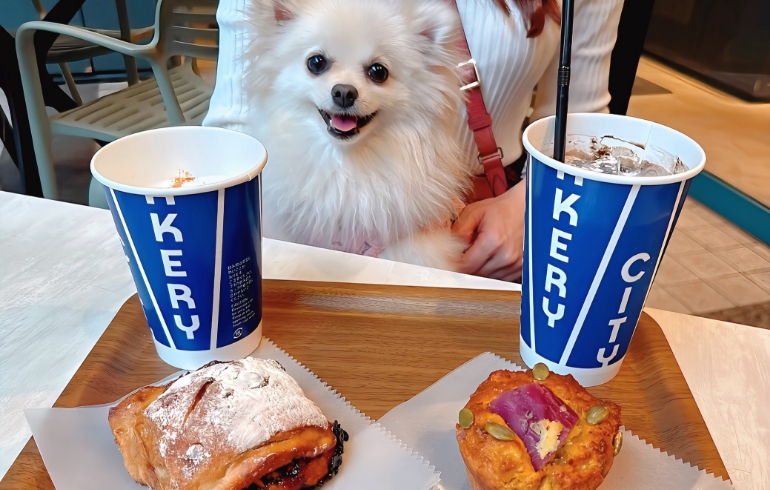 「THE CITY BAKERY 赤坂アークヒルズ」のメイン画像です。