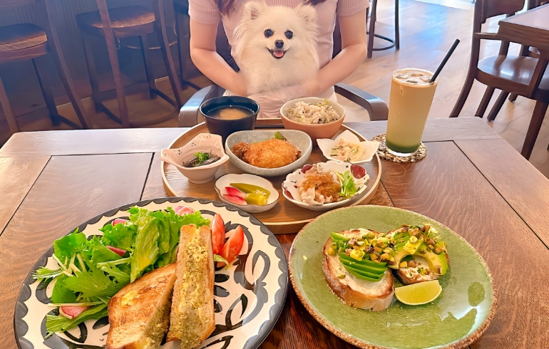 料理1