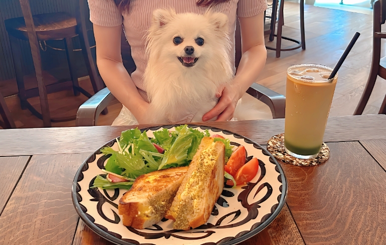 ローストカリフラワーとたまごのサンドイッチ サラダ添えとゆめちゃん