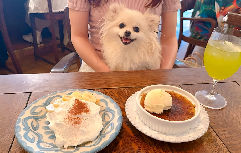 バナナクリームパイとほうじ茶のクレームブリュレとゆめちゃん