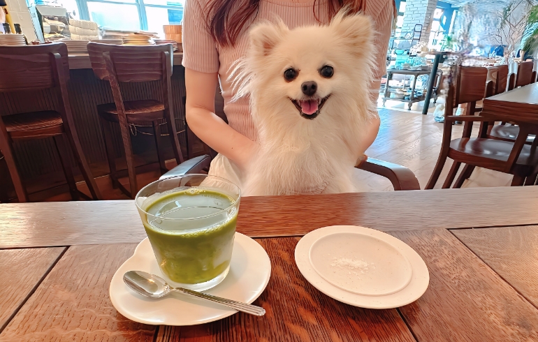 抹茶と甘酒のドリンクとゆめちゃん