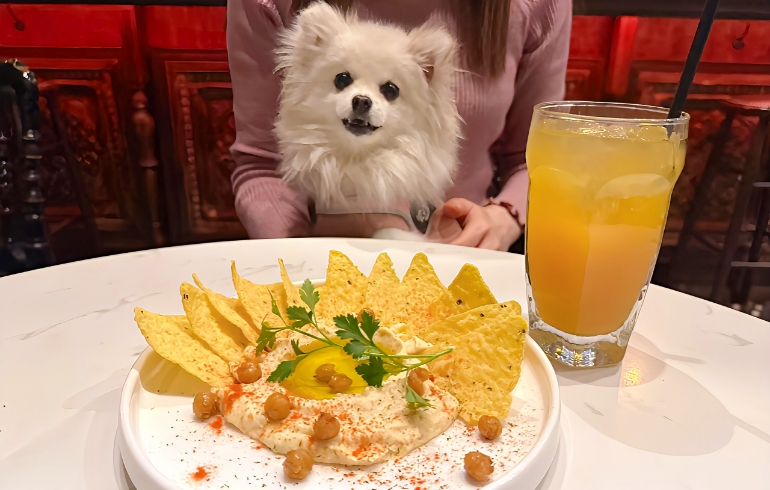 ひよこ豆のフムス
