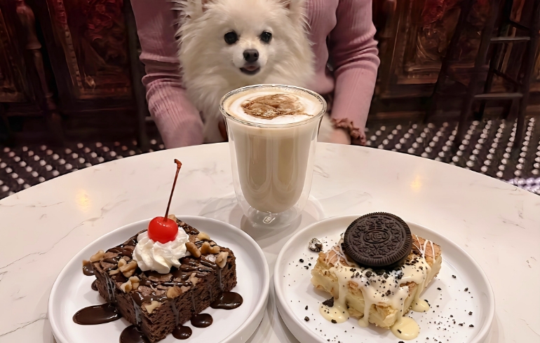 チョコレートブラウニーと、ホワイトチョコにオレオを添えた濃厚なブラウニー