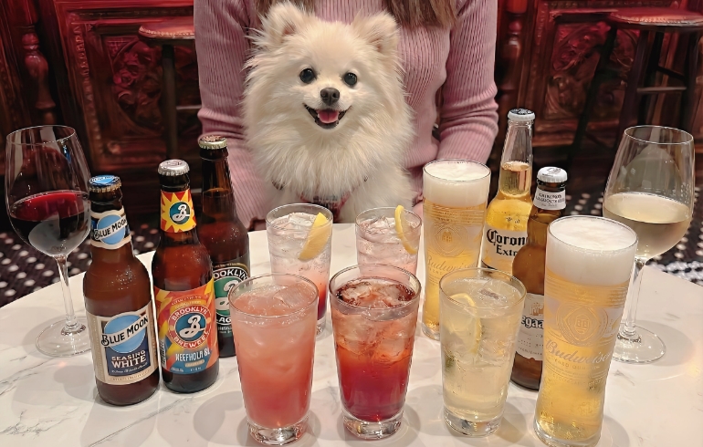 お酒各種とゆめちゃん