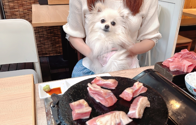 豪快！マグロ刺身盛り焼きとゆめちゃん
