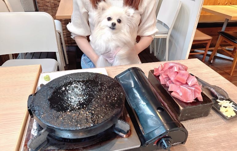 豪快！マグロ刺身盛りとゆめちゃん