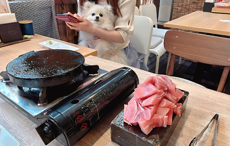 豪快！マグロ刺身盛り（生）とゆめちゃん