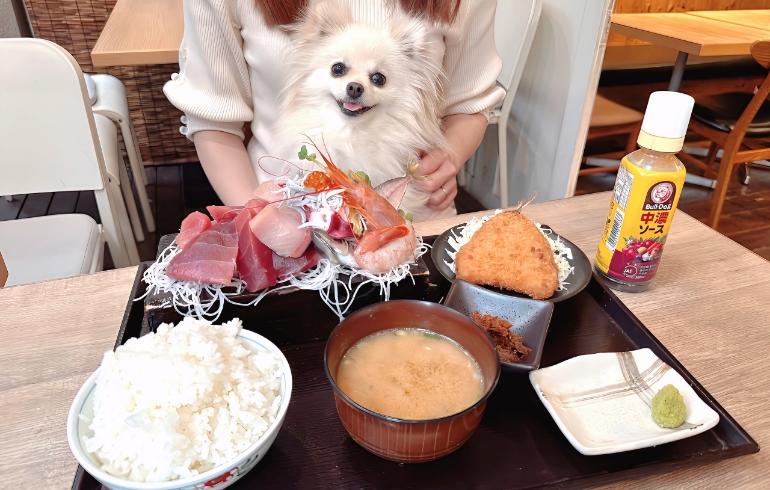 贅沢日替わり海鮮定食とゆめちゃん
