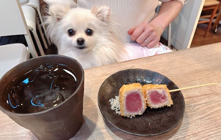 マグロの串カツとゆめちゃん