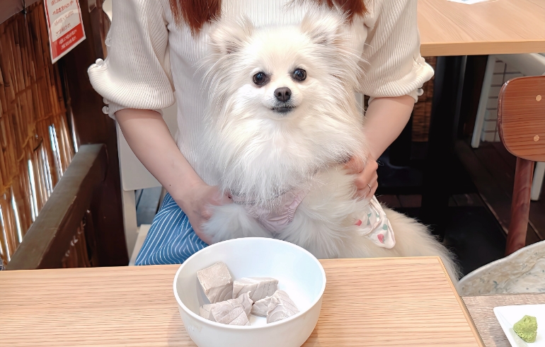 茹でまぐろとゆめちゃん
