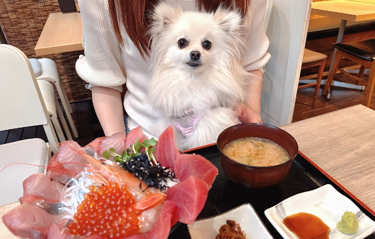 「徳多屋 駅前店（とくだや）」のメイン画像です。