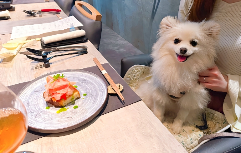 フォカッチャ フルーツトマトと生ハムとブルスケッタとゆめちゃん
