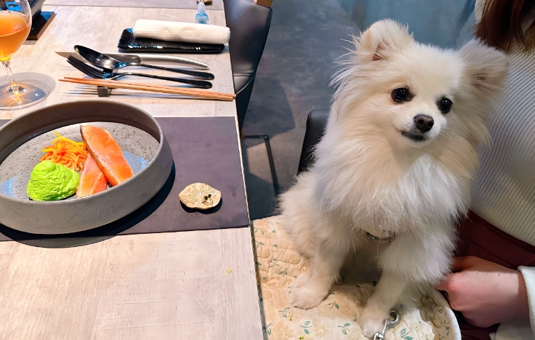 キングサーモンの瞬間スモーク アヴォカドソースのムースとゆめちゃん