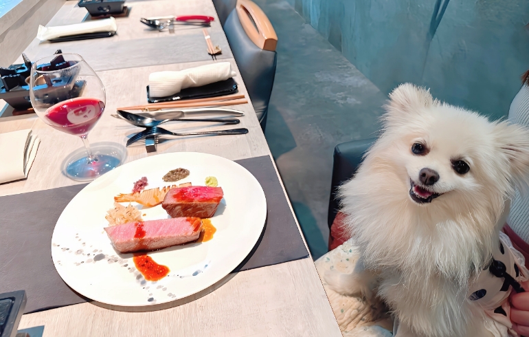 特選和牛の鉄板焼とゆめちゃん