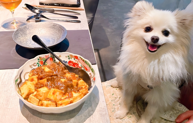 黒毛和牛の麻婆豆腐とゆめちゃん