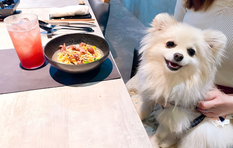 ほたるいかと蕗のとうのパスタ（珠玉のパスタ）とゆめちゃん
